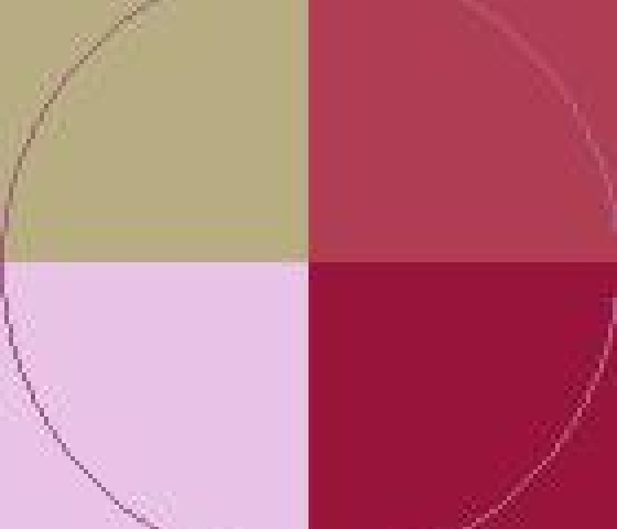 Dolus duis gemino hos iriure jugis ludus metuo nisl pneum.